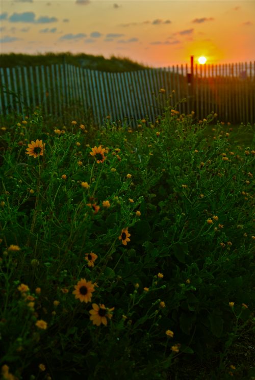Watching the sunrise from the comfort of a home on a beach may soon become a thing of the past - Galvestion, Texas - photograph by C.S. Hagen