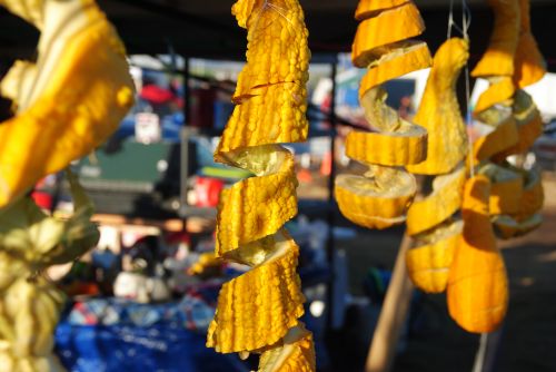 Drying squash during the DAPL controversy in 2016 - photograph by C.S. Hagen